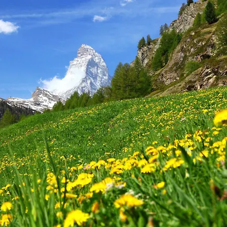 Apartmán Mont-blanc-2 By Interhome Zermatt